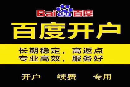 SEM运营公司案例解析：数据分析与优化